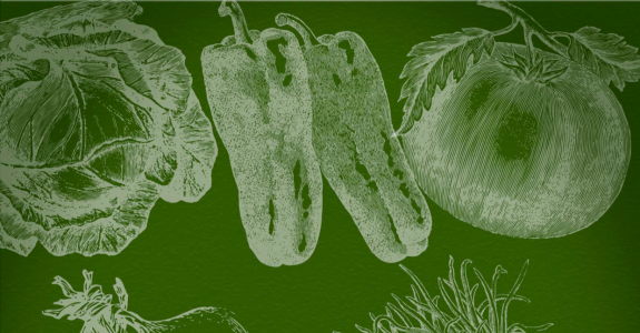 Mapeamento e Quantificação da Cadeia Produtiva das Hortaliças