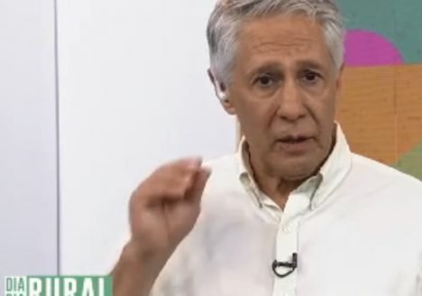 Conversa Franca: aumento do consumo de alimentos orgânicos no Brasil
