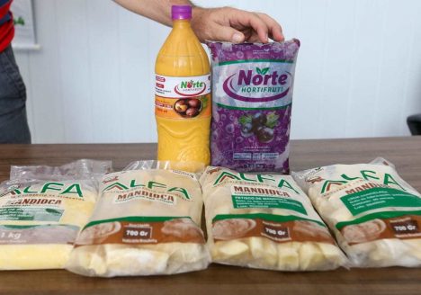 O buriti tem se tornado grande fonte de renda para produtores do Juruá