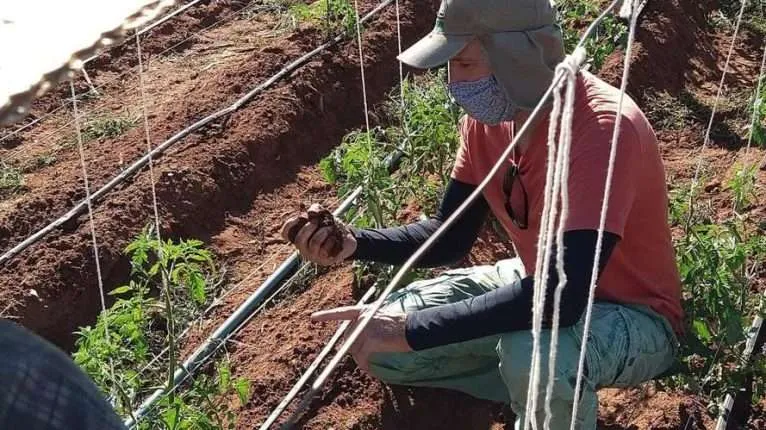orientação produção orgânica