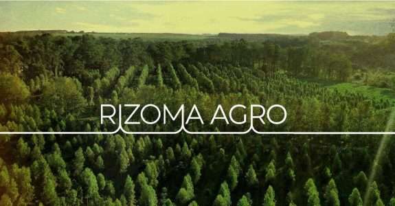 SNA participa de mesa-redonda sobre Economia Verde