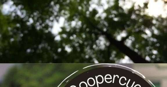 Coopercuc: do sertão da Bahia para o mundo!