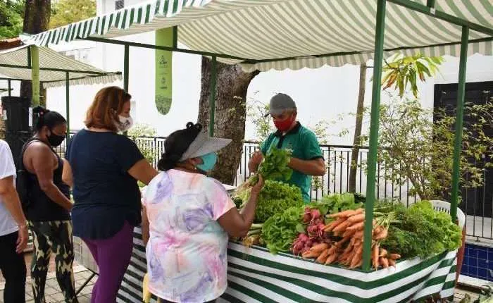 feira-orgânica-Pernambuco