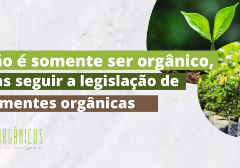 Seguir a legislação de sementes orgânicas Seguir a legislação de sementes orgânicas