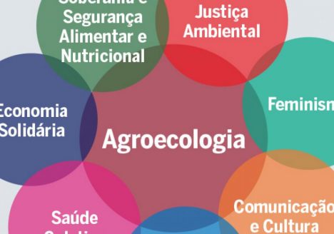 Agroecologia: alguns conceitos e princípios