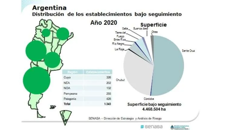 exportações-orgânicas-Argentina