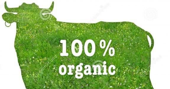 Carne orgânica tem menos risco de contaminação por bactérias resistentes Carne orgânica tem menos risco de contaminação por bactérias resistentes