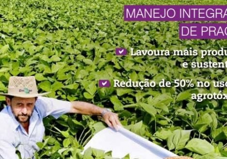 Mapa atinge marca de 50 especificações de referência para registro de defensivos biológicos Mapa atinge marca de 50 especificações de referência para registro de defensivos biológicos