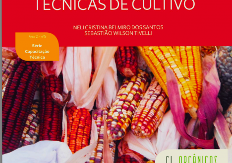 Manual de Milho Orgânico: para técnicos Manual de Milho Orgânico: para técnicos