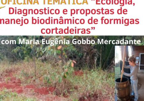 Oficina Temática “Ecologia, Diagnostico e propostas de manejo biodinâmico de formigas cortadeiras”