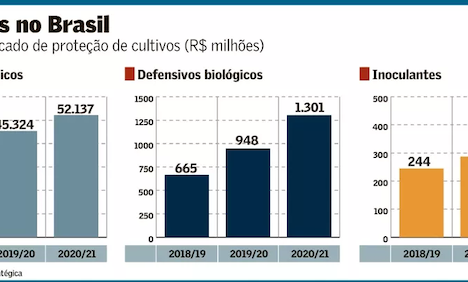 Práticas agroecológicas para o manejo de doenças de plantas Práticas agroecológicas para o manejo de doenças de plantas