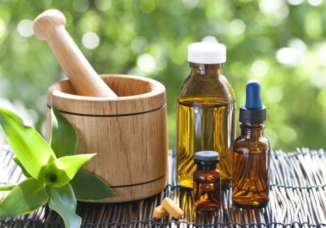 Agricultores de MG aprovam homeopatia em lavouras orgânicas
