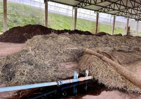 Bioinsumos para produção orgânica serão apresentados na Bio Brazil Fair