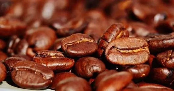 Café orgânico produzido na Bahia tem certificação internacional e foco em agricultura regenerativa Café orgânico produzido na Bahia tem certificação internacional e foco em agricultura regenerativa