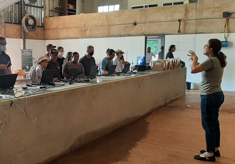 Sistema digital vai facilitar avaliação da conformidade de lavouras orgânicas