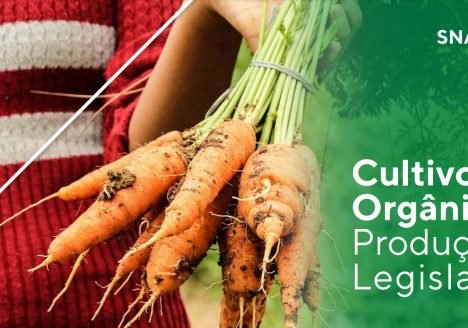 Cultivo de Orgânicos Produção e Legislação: SNA Digital
