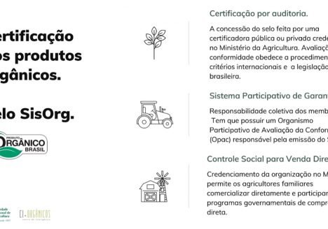 Circuitos curtos de produção impulsionam mercado brasileiro de orgânicos