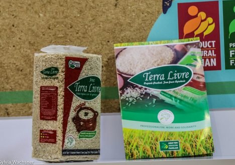 Assentados da reforma agraria: maiores produtores do arroz orgânico Assentados da reforma agraria: maiores produtores do arroz orgânico