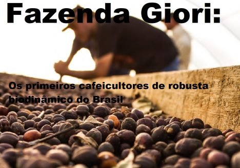 Fazenda Giori: Os primeiros cafeicultores de robusta biodinâmico do Brasil Fazenda Giori: Os primeiros cafeicultores de robusta biodinâmico do Brasil
