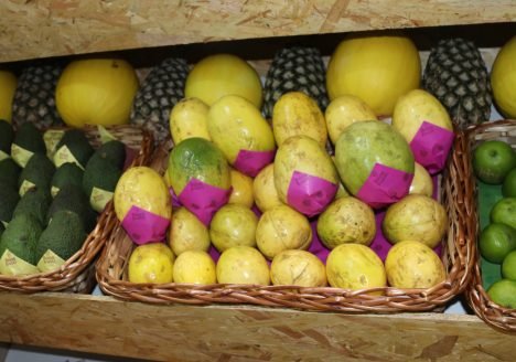 Produção orgânica de maracujá é tema de curso EAD da Embrapa Produção orgânica de maracujá é tema de curso EAD da Embrapa