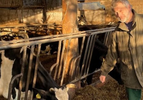 Produtores orgânicos da Alemanha estão no limite