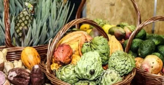 Cesta de orgânicos “inclusiva”, Diferente capta R$ 16 milhões Cesta de orgânicos “inclusiva”, Diferente capta R$ 16 milhões