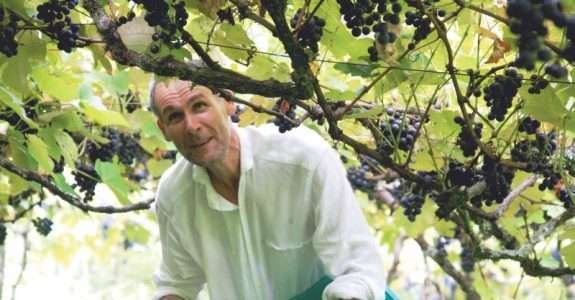 Vinho orgânico vive crise na França