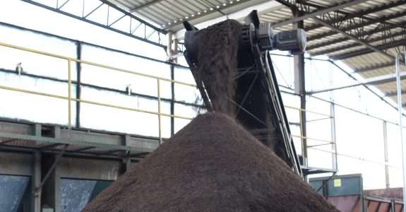 Fertilizante orgânico aumenta produtividade  e crescimento da nogueira macadâmia