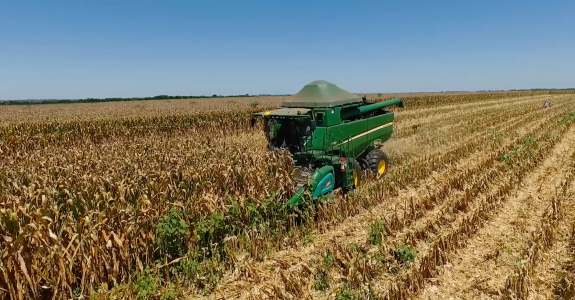 Gestão empresarial com padrões ESG promove diferenciação no mercado