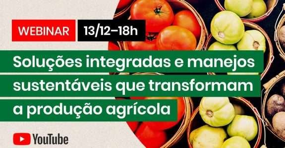 Agricultura regenerativa e manejo biológico favorecem produção em grande escala