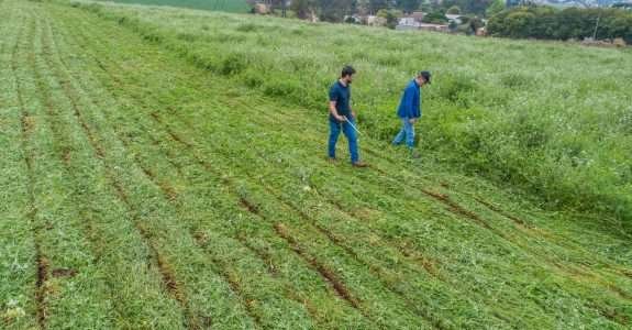 “Mercado de orgânicos precisa de diversidade e maior eficiência”, afirma especialista