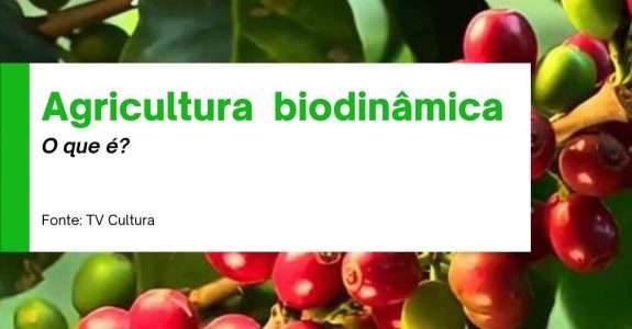 Agricultura biodinâmica, o que é?