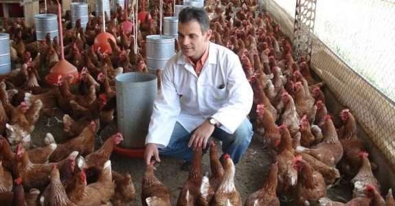 Crescem as vendas da Korin nas áreas de insumos e aditivos