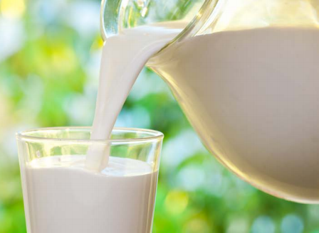 Sistema de inteligência vai rastrear a produção de leite orgânico