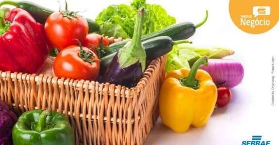 Coordenadora do CI Orgânicos fala sobre os desafios da produção orgânica