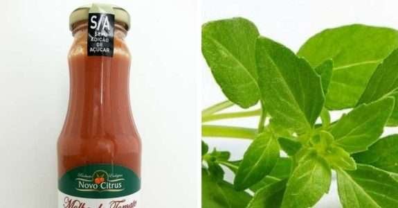 Novo Citrus lança molho de tomate orgânico com biomassa de banana verde e manjericão