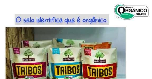 Democratizar os orgânicos: Mãe Terra