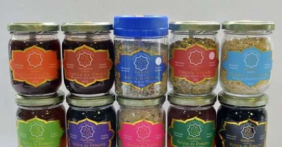 Ganesha Orgânico no Youtube: Dicas e Receitas do Ganesha Orgânico