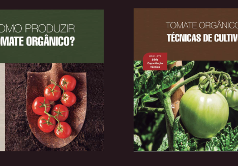 Manuais sobre produção de tomates orgânicos estão disponíveis online