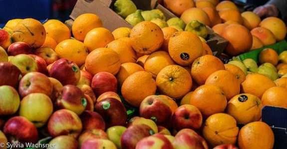 “Alimentos sem…” – por Sylvia Wachsner