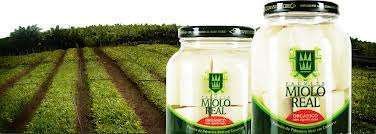 Ecocitrus doa suco concentrado ao Hospital Montenegro Ecocitrus doa suco concentrado ao Hospital Montenegro
