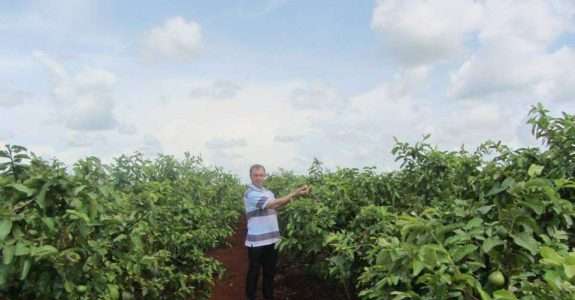 Agricultores gaúchos apresentam em Cuba benefícios de agroecologia