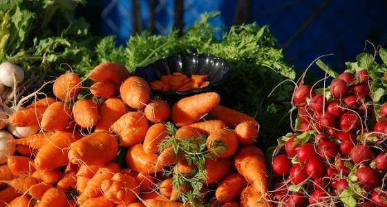 Conheça os palestrantes da Bio Brazil Fair