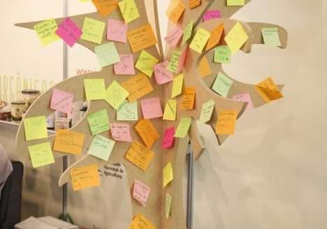 Árvore da Sustentabilidade colhe seus frutos Árvore da Sustentabilidade colhe seus frutos