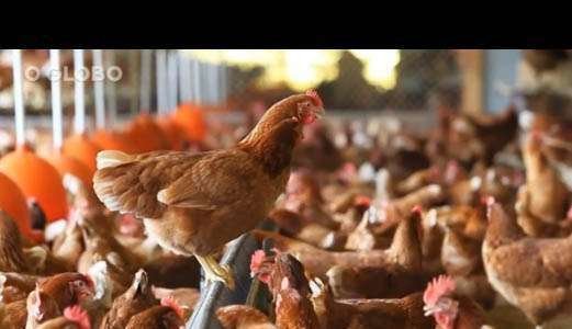 Korin é destaque no caderno de economia do O GLOBO