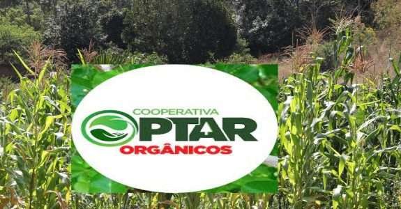 Cooperativa especializada em orgânicos está pronta para exportação em Portugal Cooperativa especializada em orgânicos está pronta para exportação em Portugal