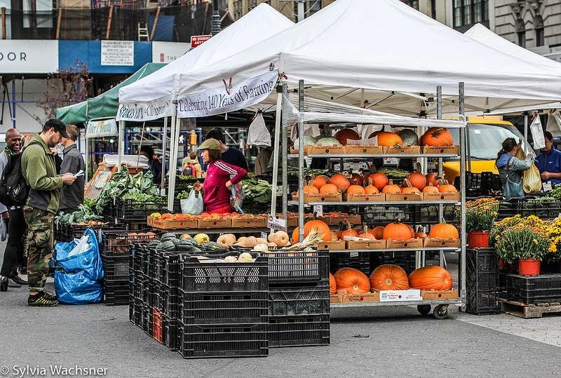 foto: OrganicsNet, tomada no Union Square, Nova York