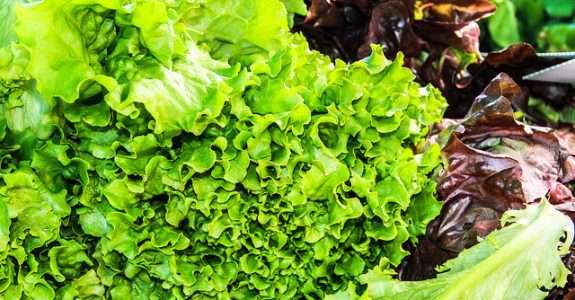 Alimentos consumidos por milhões de pessoas no RS têm agrotóxicos proibidos