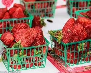 foto: OrganicsNet