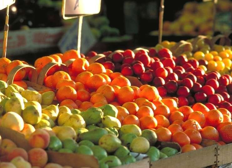 Estudo diz que produção orgânica é o componente mais importante para se contrapor ao uso de agrotóxicos